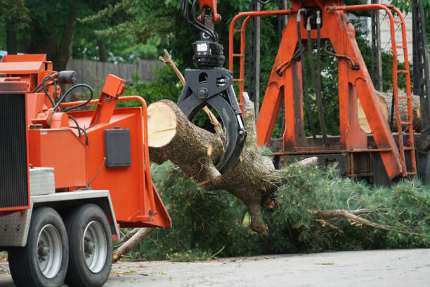 Lawn Watering Services in Montevideo, MN